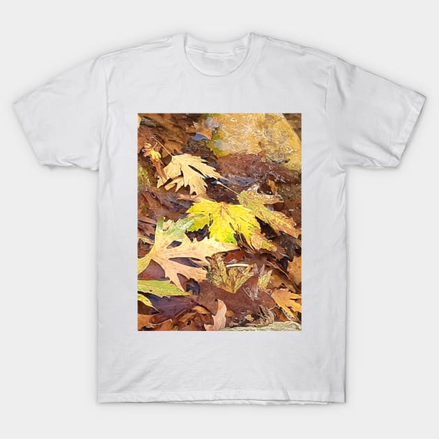 Fallen leaves floating in the river, 3, (Set of 3), fall, autumn, xmas, holiday, nature, forest, trees, winter, color, flowers, orange, art, botanical, leaves, leaf, floral, wet, rain, water, holidays, digital, spring, aqua, graphic-design, christmas T-Shirt by PrintedDreams